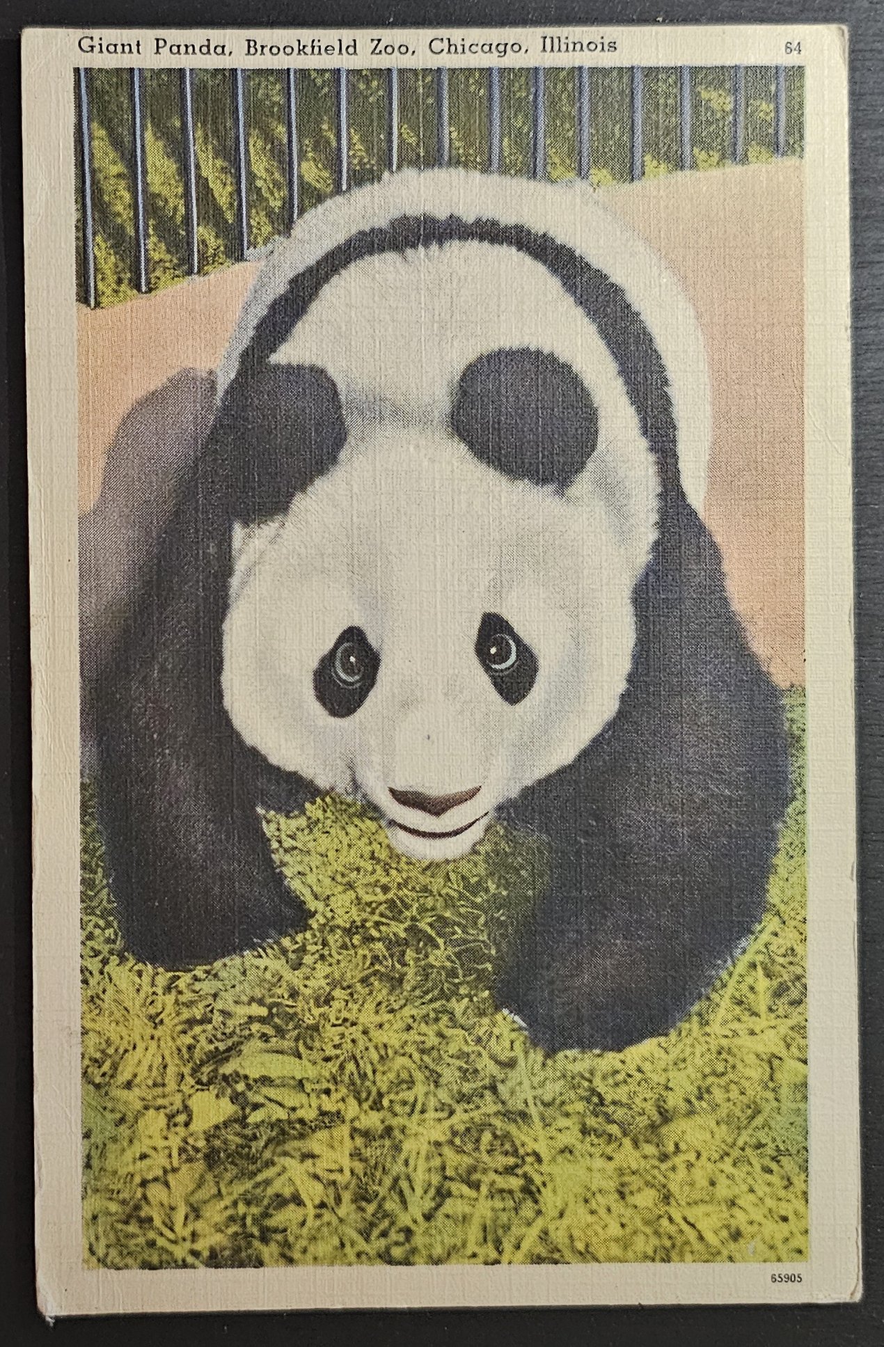 (image for) postcard USA - IL - Illinois #0017